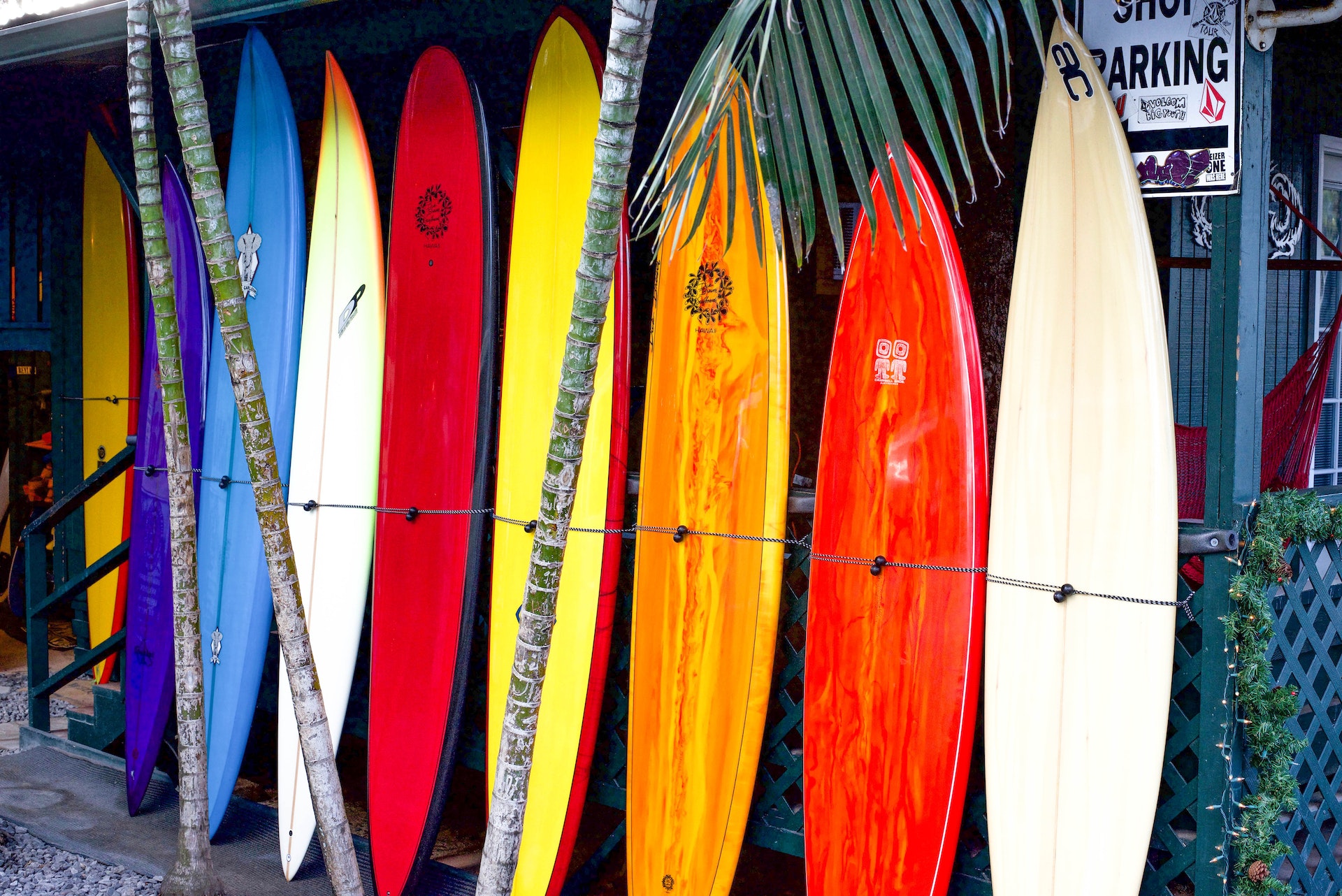 surf shops
